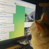 Логотип телеграм канала @anonimnoptpit — Анонимно ПТПИТ