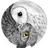 Логотип телеграм канала @anonimowls — Клуб анонимных сов 2.0🦉