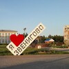 Логотип телеграм канала @anonzvo — Анонимка зво