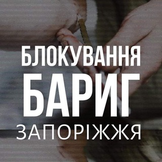 Логотип телеграм -каналу anozaporizhzhia — АНО Запоріжжя