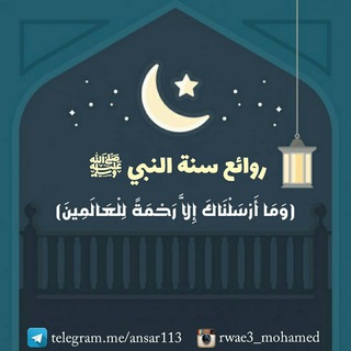 لوگوی کانال تلگرام ansar113 — ❁ روائع من سنة النبي ﷺ ❁