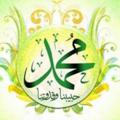 Logo saluran telegram ansichten — صفاء الروح الدعوية