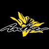 Logo of telegram channel anther_ca — ANTHER CANADA