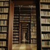 Логотип телеграм -каналу anti_librarian — Антибібліотека антибібліотекарки