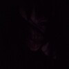 Логотип телеграм канала @antianinn — ани🩸