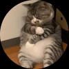 Логотип телеграм канала @antidaunleak — UnixStudio - Мы делаем!