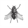 Logo of telegram channel antnvsky — Intelligentsia