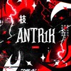 Логотип телеграм канала @antr1k_shop — Antr1k Shop