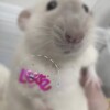 Логотип телеграм канала @anywh3n — витя валапоп
