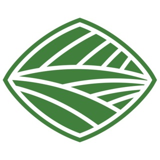 Логотип телеграм канала @ao_armada — АО Армада