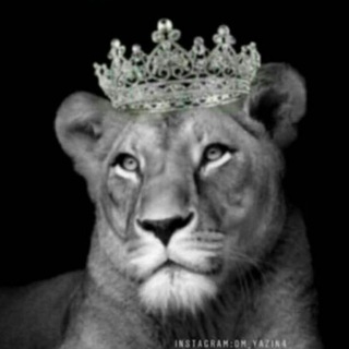 لوگوی کانال تلگرام aode13 — Queen👸🖤•