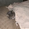 Логотип телеграм канала @aotomosem — О том, о сем