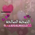 Telegram channel الصُحْبَة الْصَالِحَة 🌸 logo