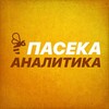 Логотип телеграм канала @apiaryanalyst — Пасека аналитика | System Analysis