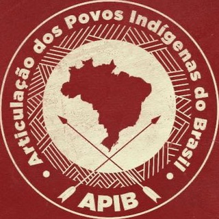 Logotipo do canal de telegrama apiboficial - Apib Oficial