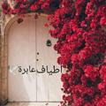 لوگوی کانال تلگرام apirown — 🕊 أطياف عابِرة 🕊