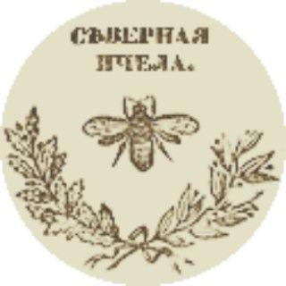 Логотип телеграм канала @apis_borealis — Сѣверная пчела Z