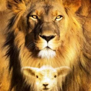 Logo del canale telegramma apocalipse3_20 - Prova e Veja: