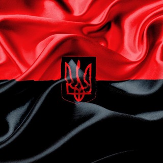 Логотип телеграм канала @apolaig — APOLA MUSIC🐊