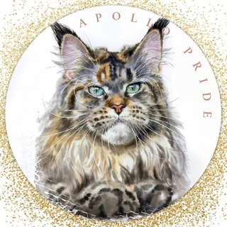 Логотип телеграм канала @apollopride — Мейн-куны Apollo Pride