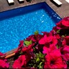 Логотип телеграм канала @apsiliya_alamys_hotels — Apsiliya&Alamys Hotels Абхазия