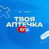 Логотип телеграм канала @aptechkaege — АПТЕЧКА ЕГЭ | Интенсив Профиматики для 11 класса