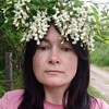 Логотип телеграм канала @apuhi — БотаНичка🐝🍄