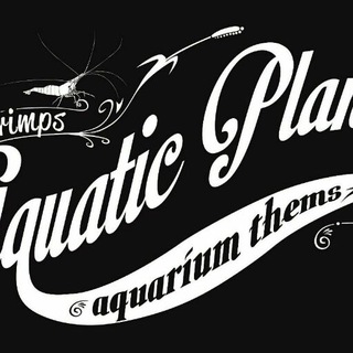 Логотип телеграм канала @aqpls — Plants & Shrimps