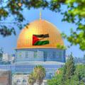 لوگوی کانال تلگرام aqsanana2022 — اقَصـانا || 🇵🇸♥