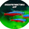Логотип телеграм канала @aquadpr — Аквариумистика ДНР