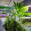 Логотип телеграм канала @aquapitrostov — Аквапит🐟🌿🐠🌿🍀🐠