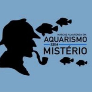 Logotipo do canal de telegrama aquarismosemmisterio - Aquarismo sem mistério