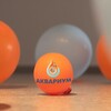 Логотип телеграм канала @aquariummmm — 🪸Аквариум🪸