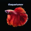 Логотип телеграм канала @aquariumov — Аквариумисты 🪸🐡