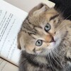 Логотип телеграм канала @arabka07 — ما هو لك سوف تجده❤️‍🩹