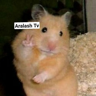 Telegram kanalining logotibi aralash_tv1 — Aralash Tv