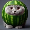 Логотип телеграм канала @arbuzikkii — арбузики