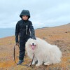 Логотип телеграм канала @arctic_life — Мы и Арктика🐋🦭