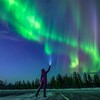 Logo of telegram channel arcticfreedomteam — Arctic Freedom - Northern lights