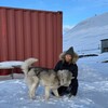 Логотип телеграм канала @arctsveta — На краю Света. Ледниковый период