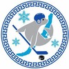 Логотип телеграм канала @arenabaikal2 — Ледовый дворец «Байкал Арена»