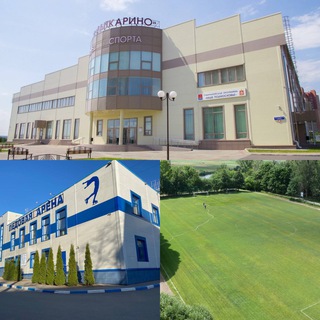 Логотип телеграм канала @arenalytkarino — МАУ ДО «СШ Лыткарино»