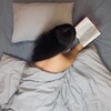 Логотип телеграм канала @arg_nova — Воображаю себя блогером