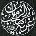 لوگوی کانال تلگرام argument313 — موكب غربة صاحب الزمان