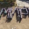 Логотип телеграм канала @arhschool1 — МОБУ «СОШ N1 им. А.П. Гайдара»