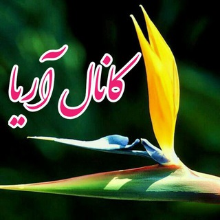 لوگوی کانال تلگرام aria6894 — آریا