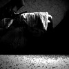 Логотип телеграм канала @arifqod — Пантера.