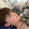 Логотип телеграм канала @aristcrat — АРИСТОКРАТ