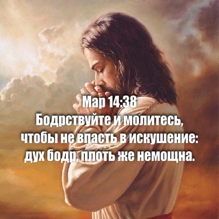 Логотип телеграм канала @arkchurch1 — живи Словом