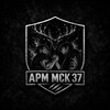 Логотип телеграм канала @arm_msk1 — АРМ МСК 37